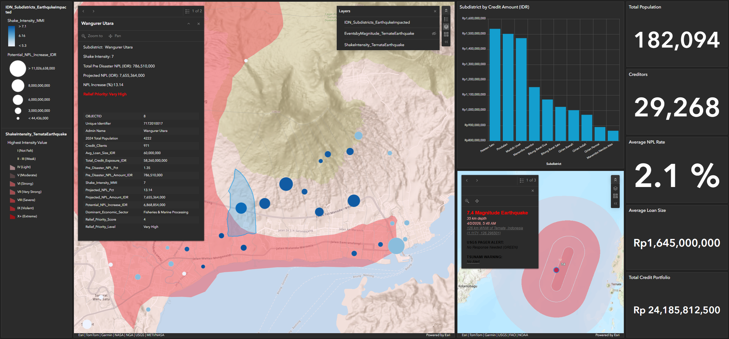 Risk management and NPL monitoring