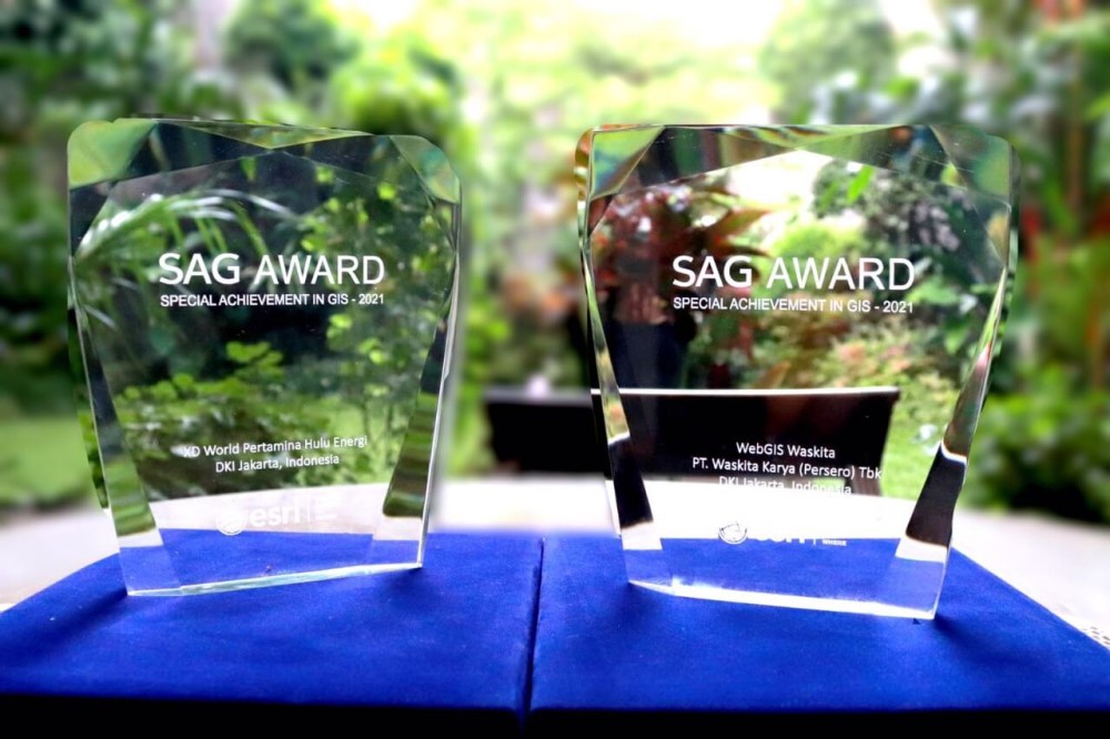 SAG Award Image