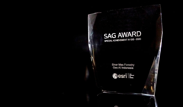 SAG Award 2020