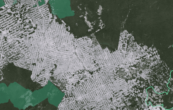 Geospatial approach to law enforcement for environmental crime card image