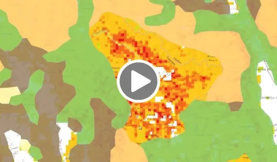 Using web GIS to dynamically map forests card