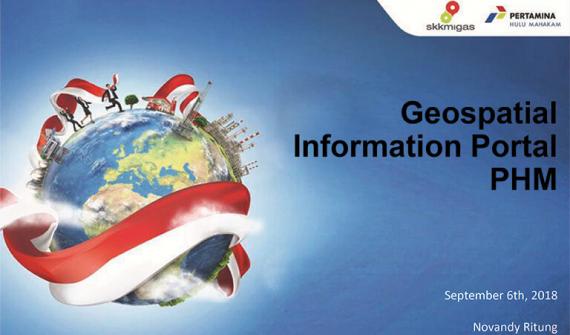 Geospatial information portal PHM