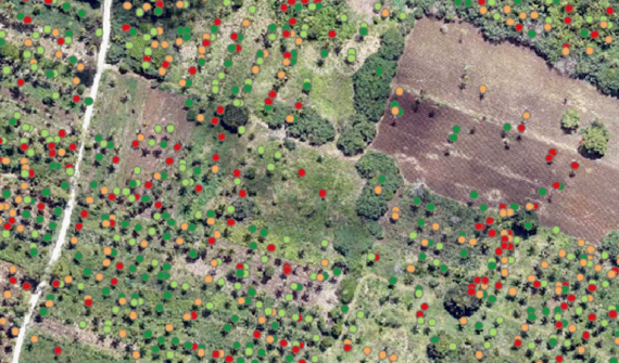 Deep learning with ArcGIS Pro for tree counting and building extraction card