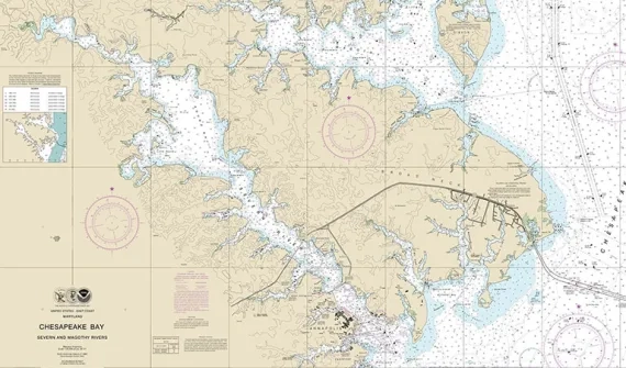 Illustrated world map