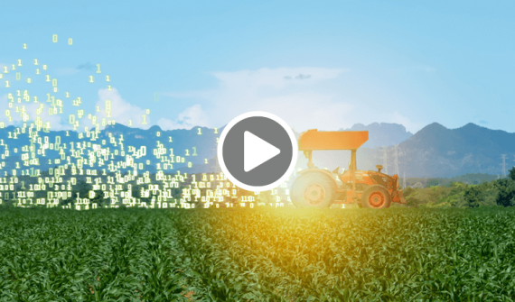 Deep Learning: A new perspective on plantation, forestry, and agriculture video card