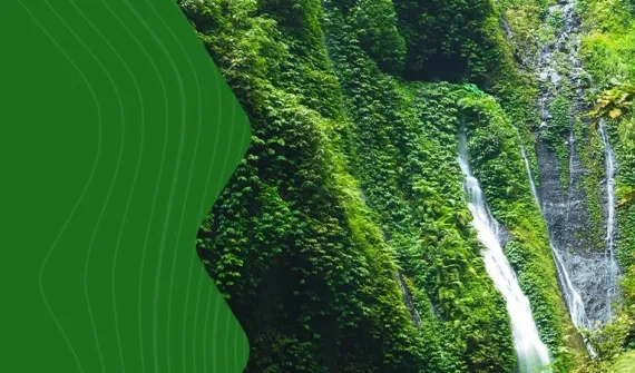 Sustainable Forestry webinar custom card