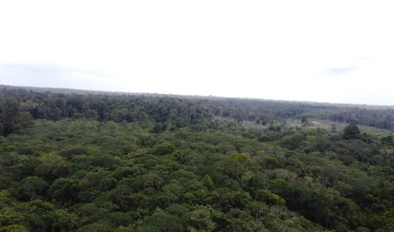 Dashboard creation for monitoring Conservation Area