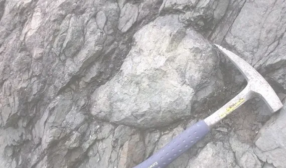 Integrated Geological Data Collecting and Sampling: from the Field to Web