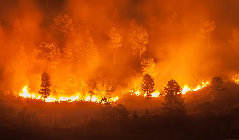 Geospatial-emergency-support-to-monitor-forest-fires_card