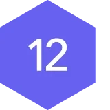 #12 icon