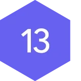 #13 icon