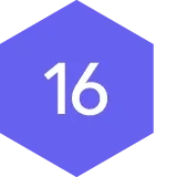 #16 icon