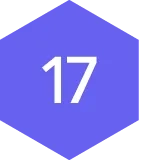 #17 icon