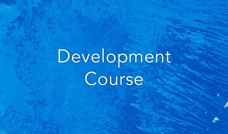 Development training course