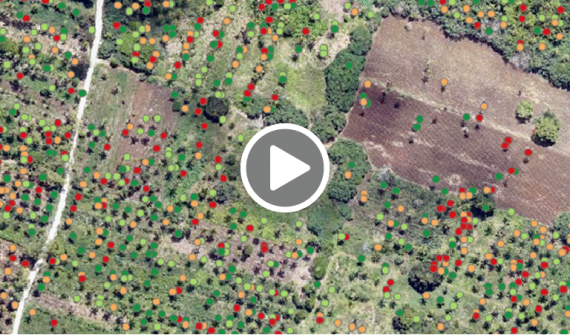 Deep learning with ArcGIS Pro for tree counting and building extraction video card